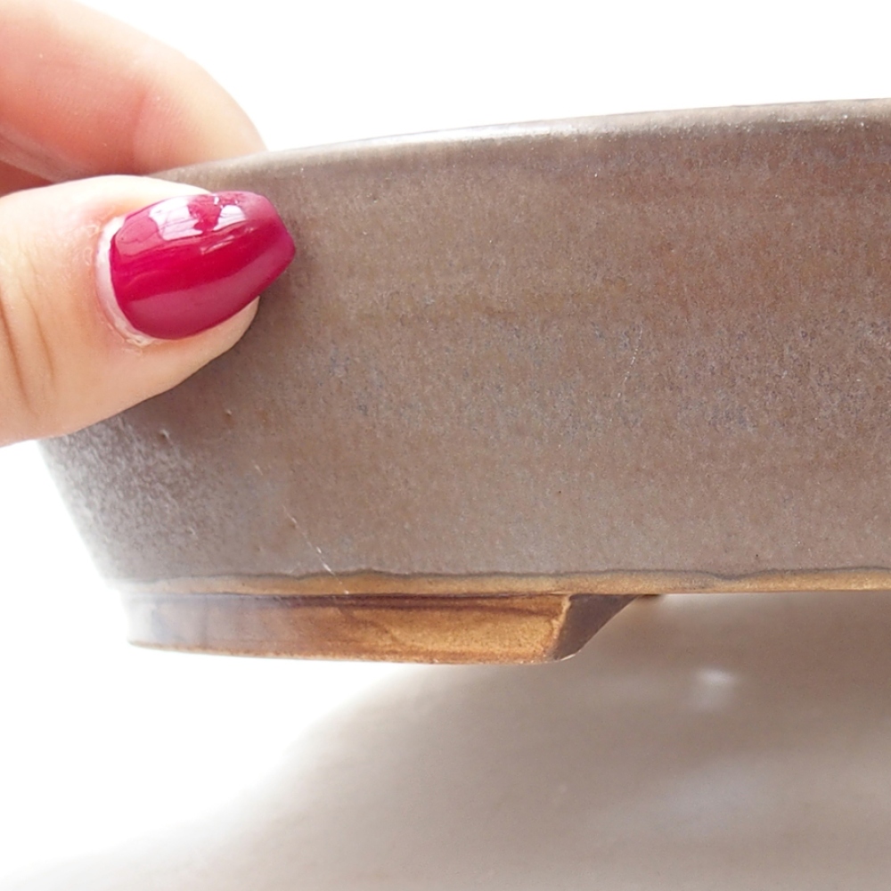 Ciotola bonsai in ceramica 20,5 x 18,5 x 4,5 cm, colore blu