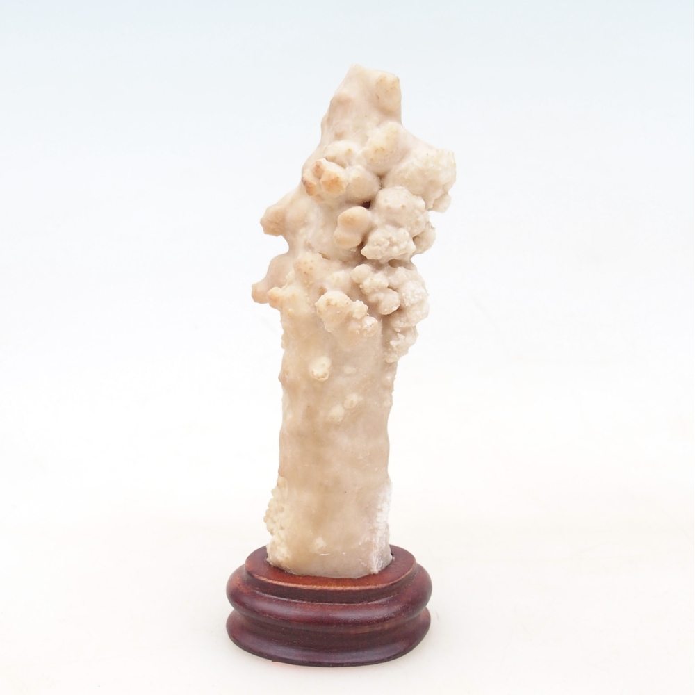 Suiseki - Pietra con DAI (base in legno)