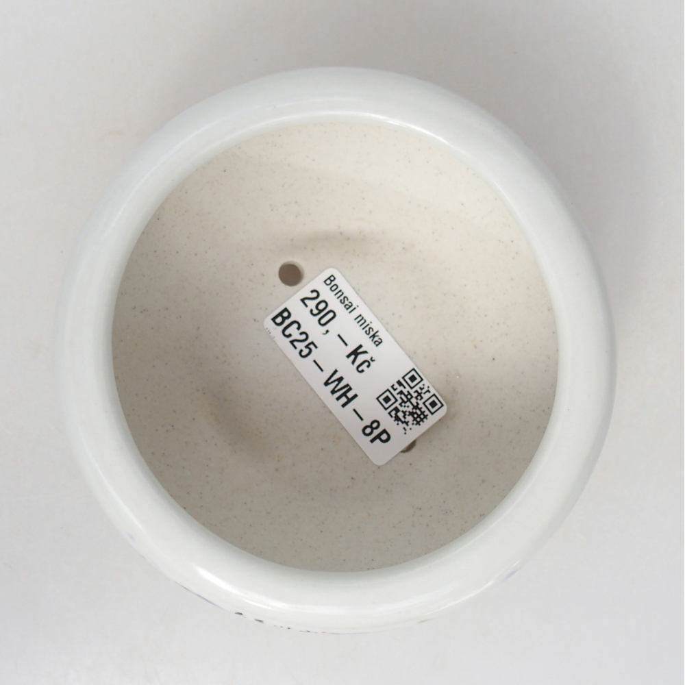 Ciotola per bonsai in ceramica 10 x 10 x 5 cm, colore bianco