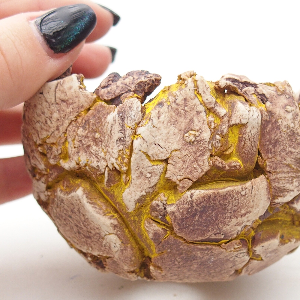 Conchiglia in ceramica 9,5 x 9 x 7 cm , colore giallo