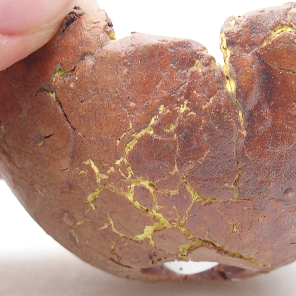 Conchiglia in ceramica 7 x 6,5 x 4 cm , colore giallo