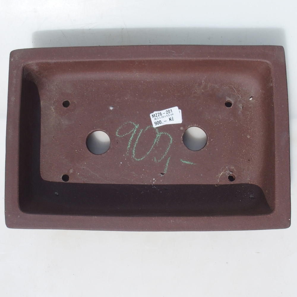 Ciotola per bonsai 36,5 x 24 x 6,5 cm betulla marrone