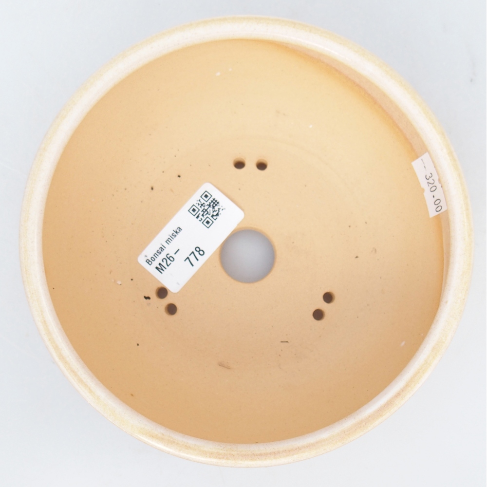 Ciotola bonsai in ceramica 14,5 x 14,5 x 5,5 cm, colore beige