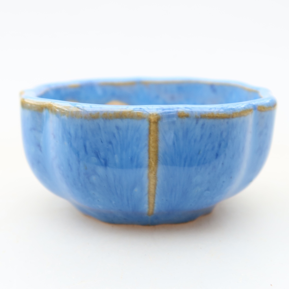 Vaso da bonsai in ceramica 6 x 6 x 3 cm, colore blu