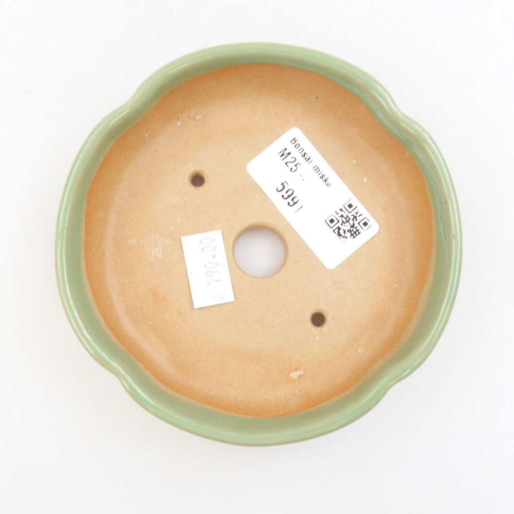 Ciotola bonsai in ceramica 22 x 17 x 5 cm, verde