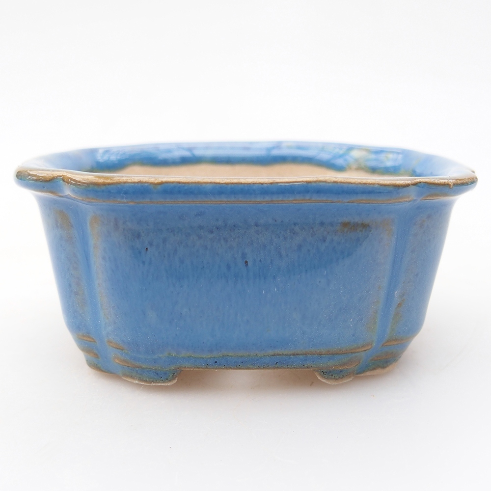 Mini bonsai 7,5 x 7 x 3 cm, colore blu