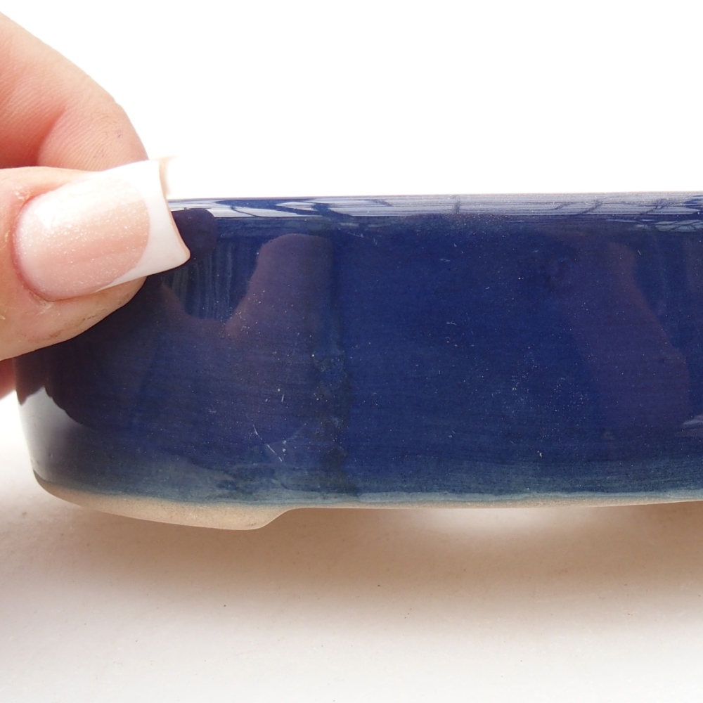 Ciotola per bonsai in ceramica 12,5 x 10 x 3,5 cm, colore blu