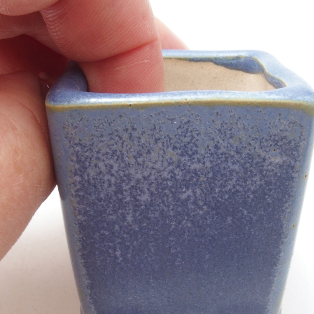 Mini bonsai 4 x 4 x 4,5 cm, colore blu