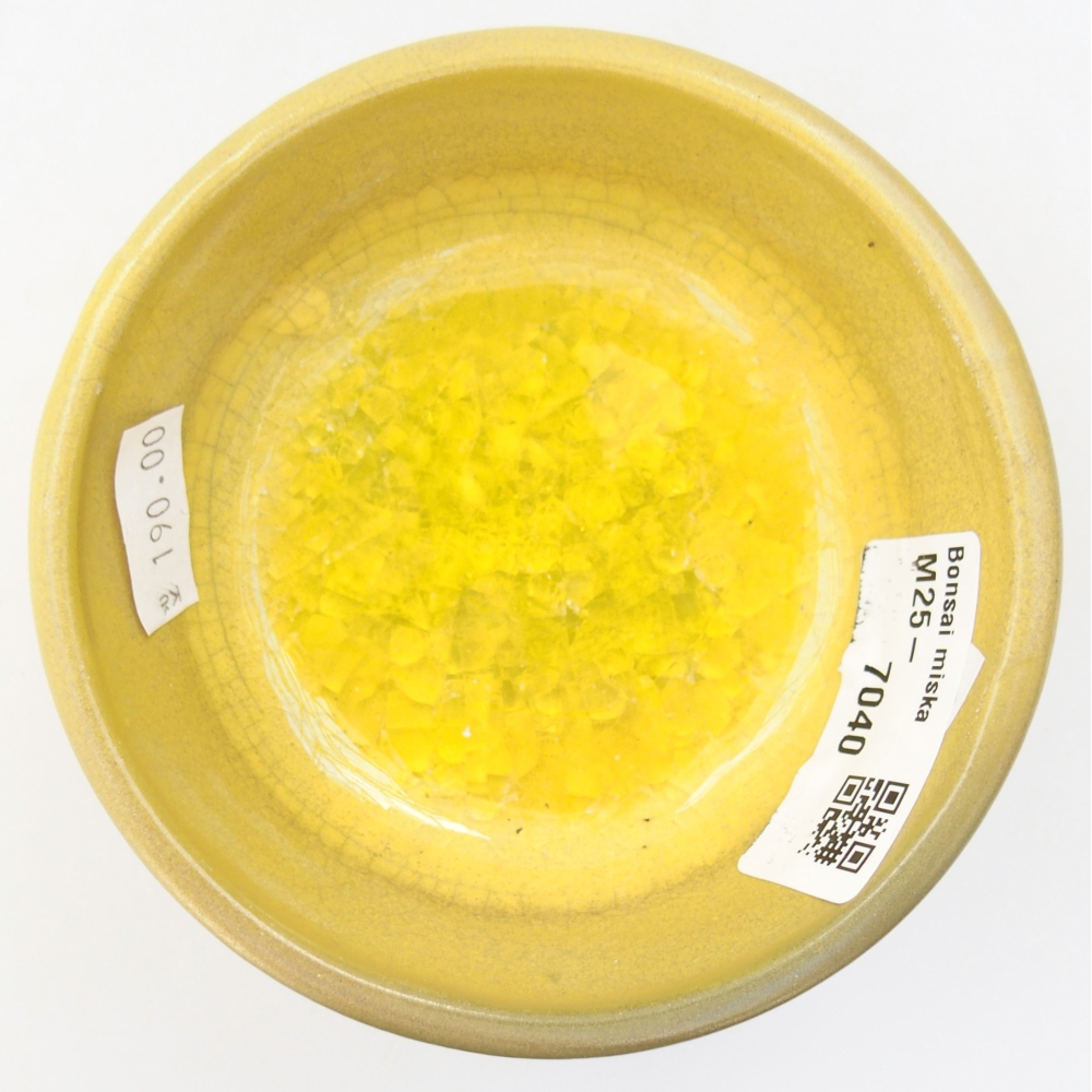 Ciotola bonsai in ceramica 26 x 26 x 8 cm, colore rosso