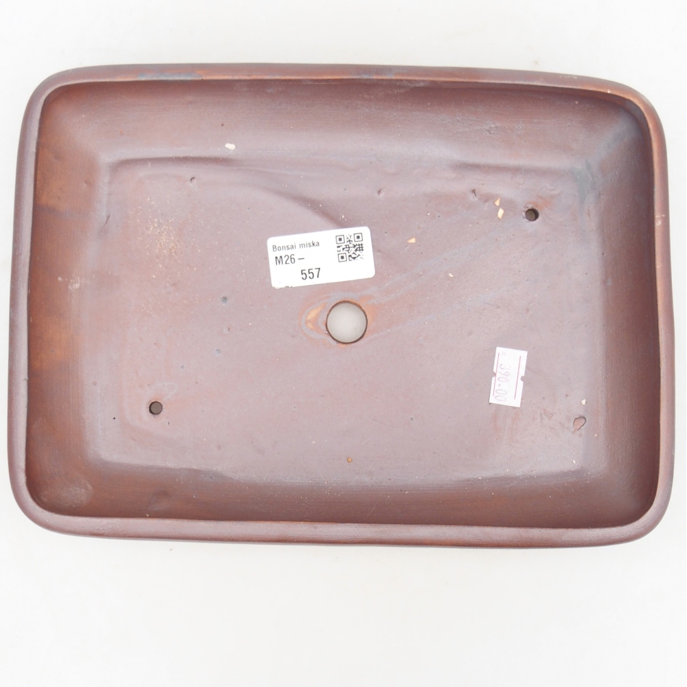 Ciotola bonsai in ceramica 24 x 17,5 x 4 cm, colore metallo