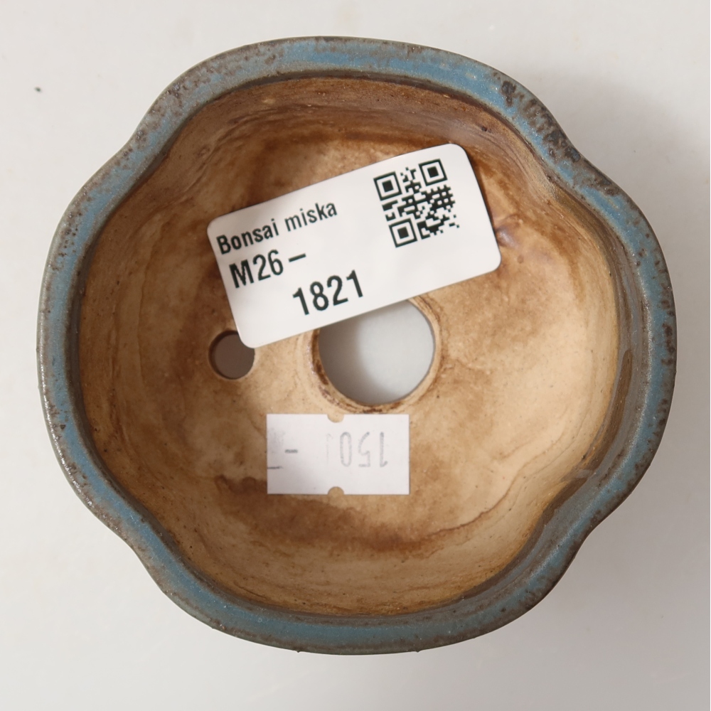 Vaso in ceramica per bonsai 8 x 7,5 x 3,5 cm, colore blu