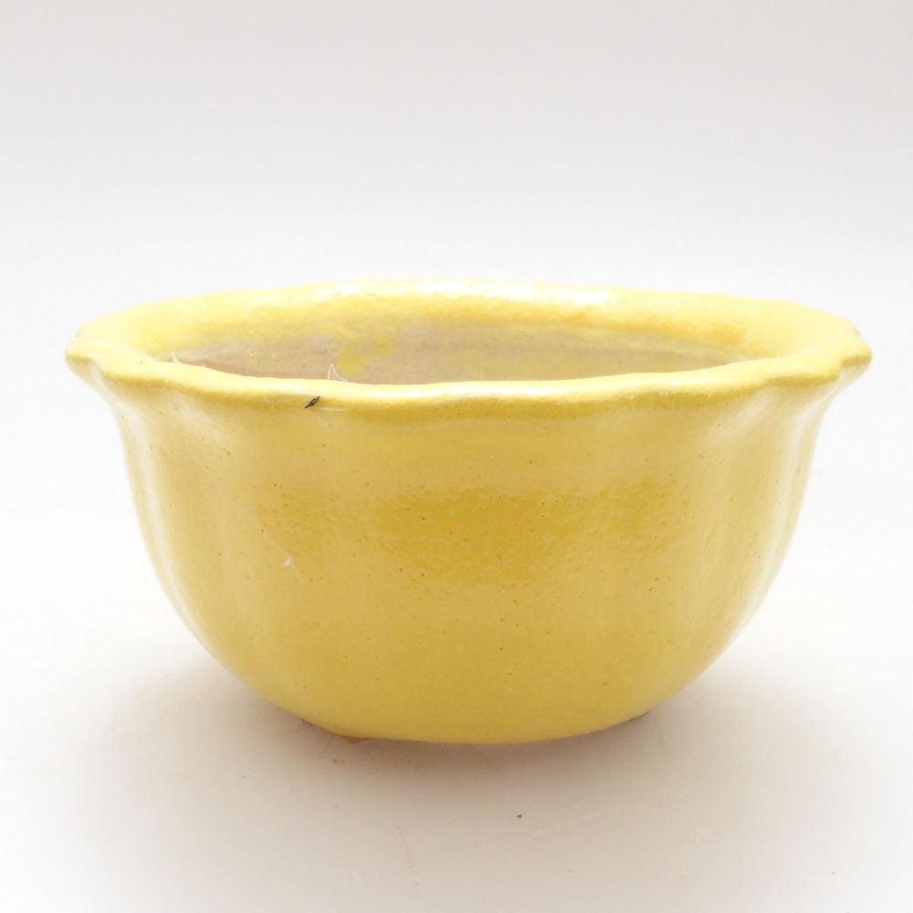 Ciotola bonsai in ceramica 7 x 3 x 3,5 cm, giallo