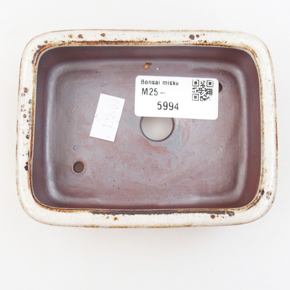 Ciotola bonsai in ceramica 22 x 17 x 5 cm, verde