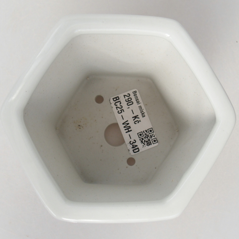 Ciotola per bonsai in ceramica 10,5 x 9,5 x 9 cm, colore bianco