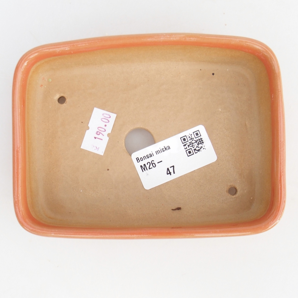 Ciotola per bonsai in ceramica 12,5 x 9,5 x 3,5 cm, arancione