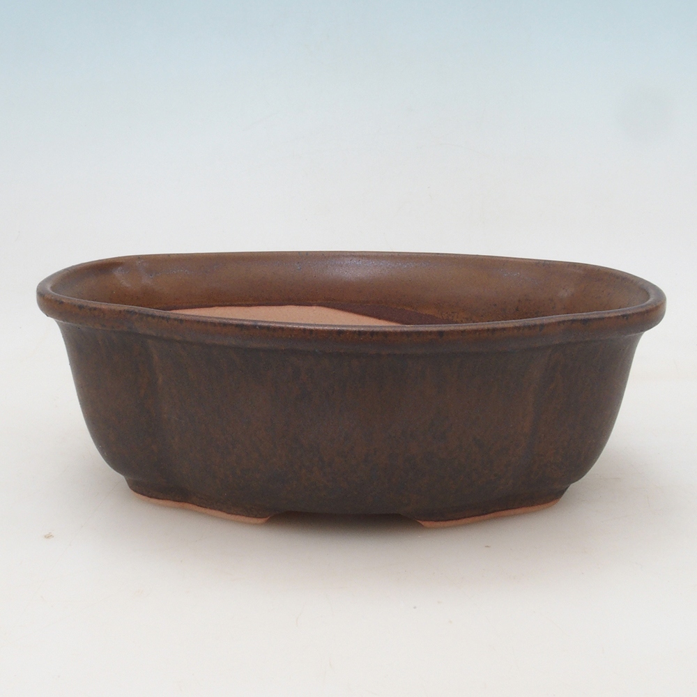 Ciotola per bonsai H75 - 19 x 14 x 6,5 cm - marrone