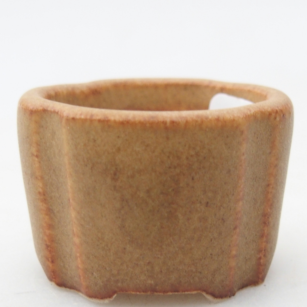 Mini bonsai 3,5 x 3,5 x 2,5 cm, marrone