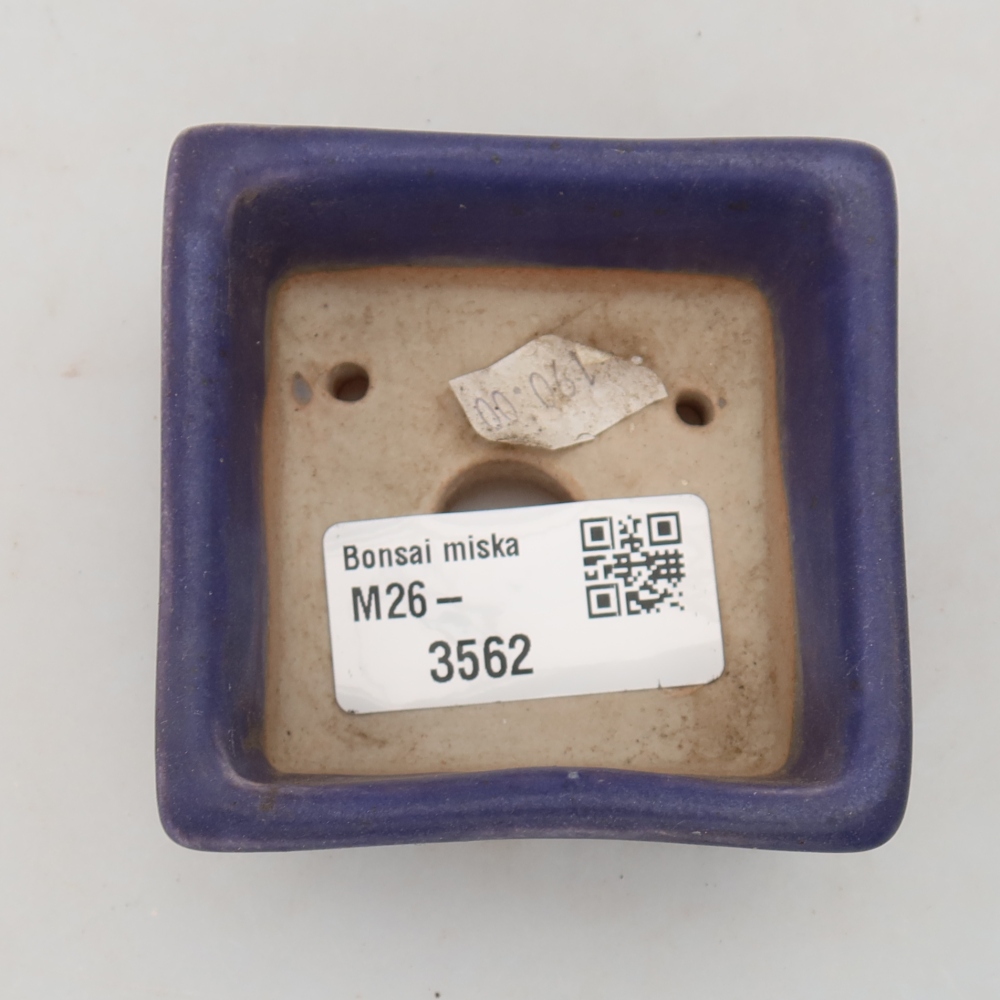Vaschetta in ceramica per bonsai 7 x 7 x 3,5 cm, colore viola