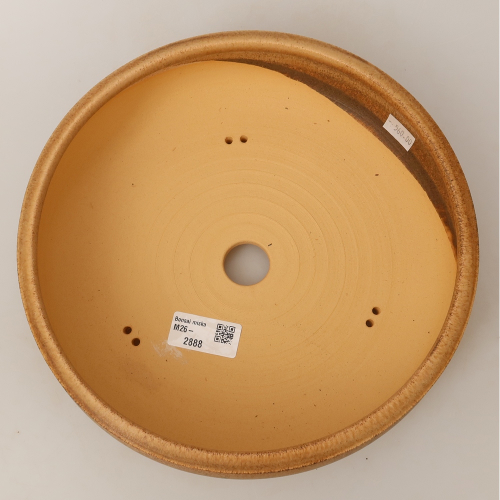 Vaso da bonsai in ceramica 24 x 24 x 7 cm, colore marrone
