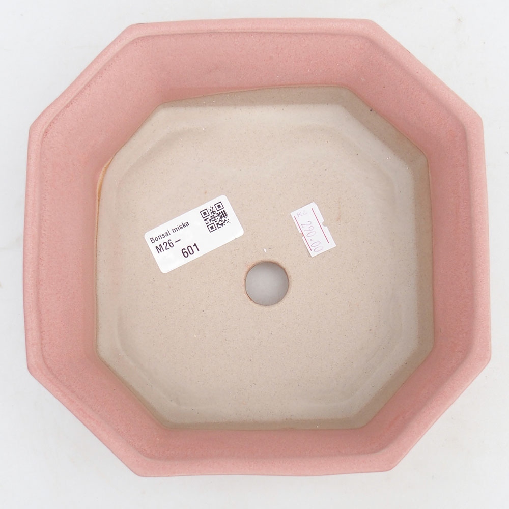 Ciotola bonsai in ceramica 17,5 x 17,5 x 6 cm, rosa