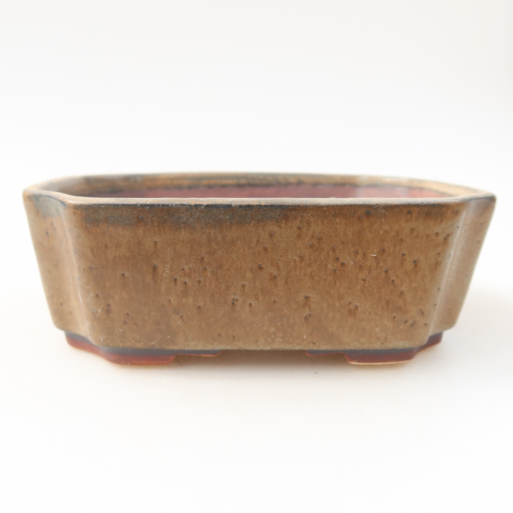 Ciotola per bonsai in ceramica 14 x 11,5 x 4,5 cm, marrone