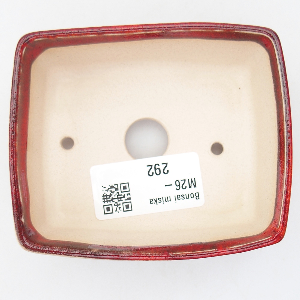 Mini bonsai 9 x 7,5 x 3,5 cm, colore rosso