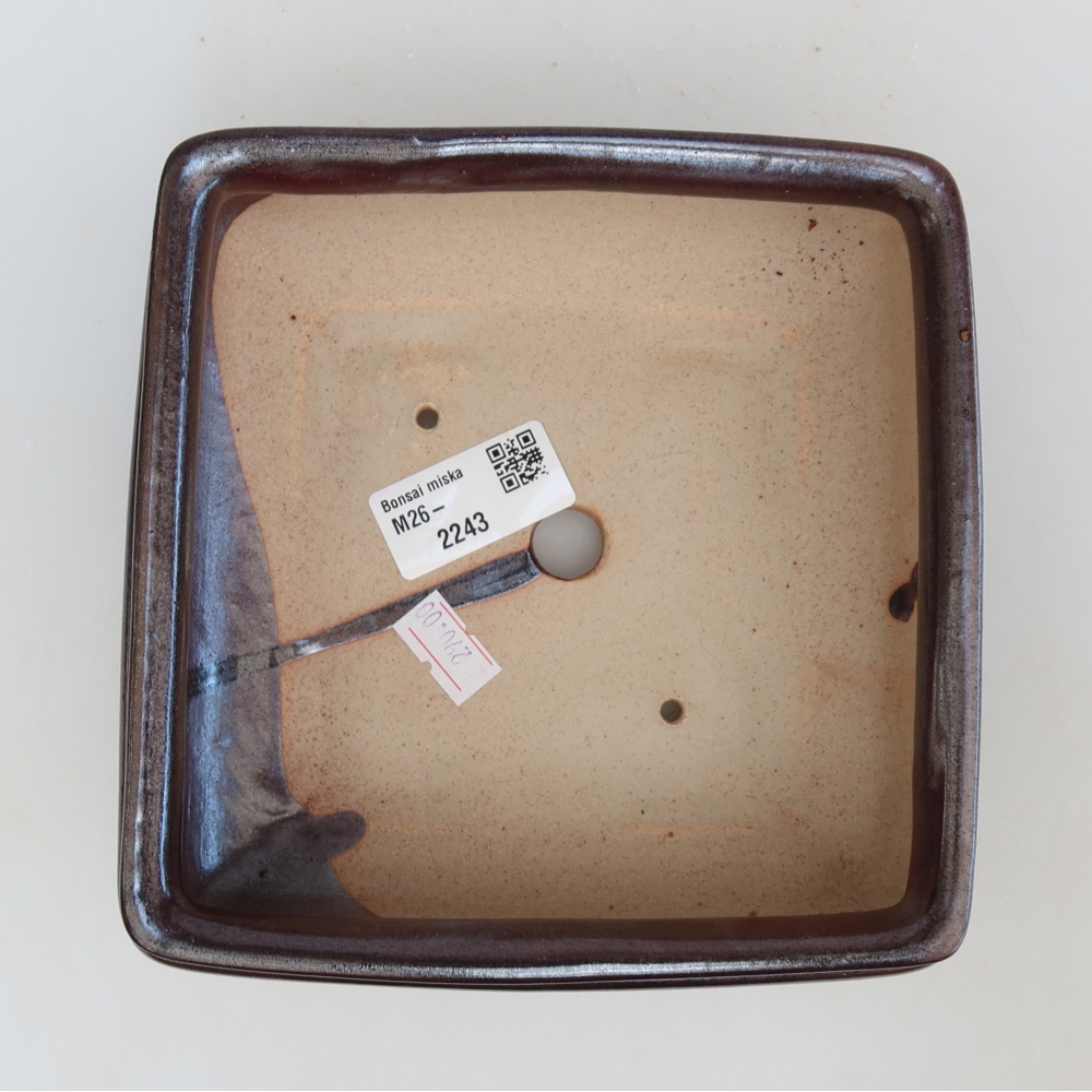 Ciotola per bonsai in ceramica 15,5 x 15,5 x 6 cm, marrone