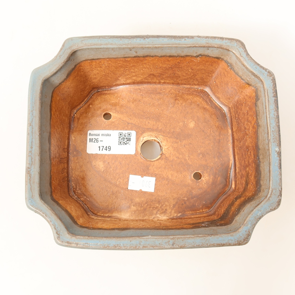 Vaso da bonsai in ceramica 18 x 15 x 6 cm, colore blu