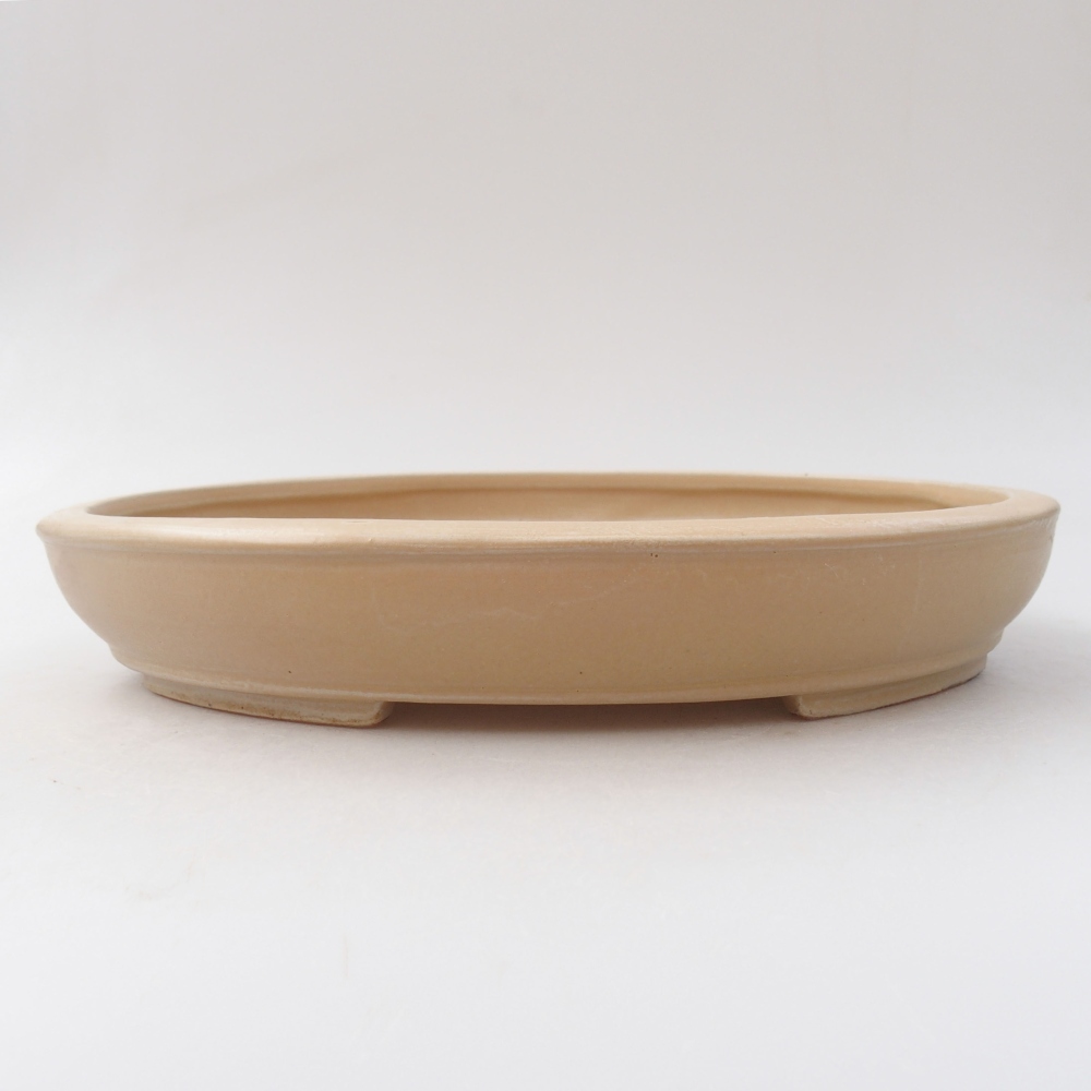 Ciotola per bonsai in ceramica 24,5 x 20 x 4 cm, colore beige