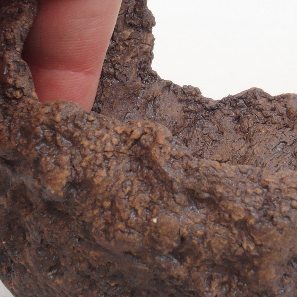 Conchiglia in ceramica 9 x 8 x 9,5 cm , colore marrone