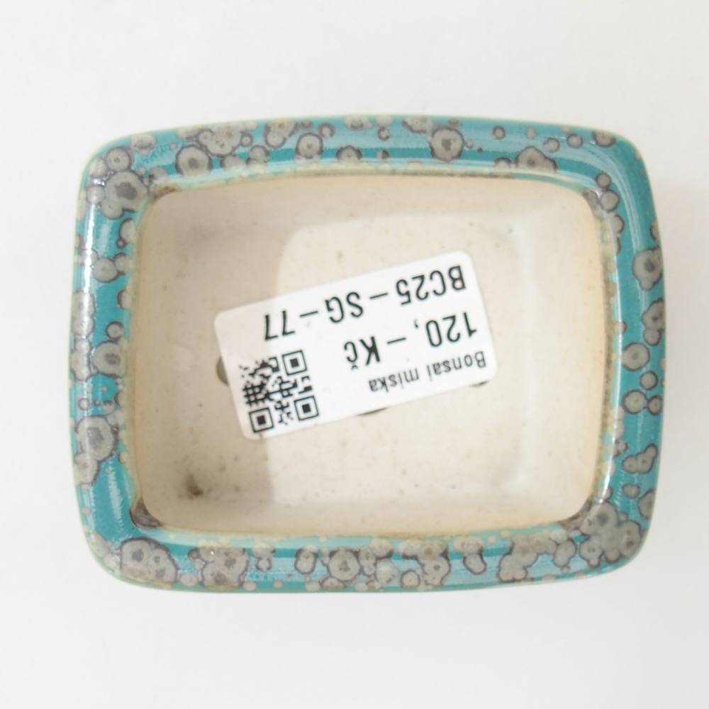 Ciotola 8 x 6 x 3,5 cm blu