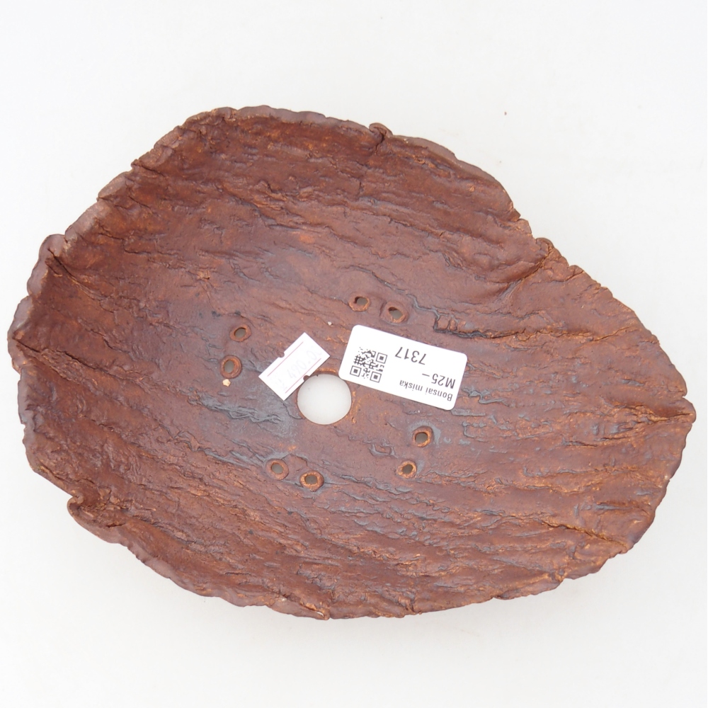 Conchiglia in ceramica 20 x 15 x 6 cm , colore marrone