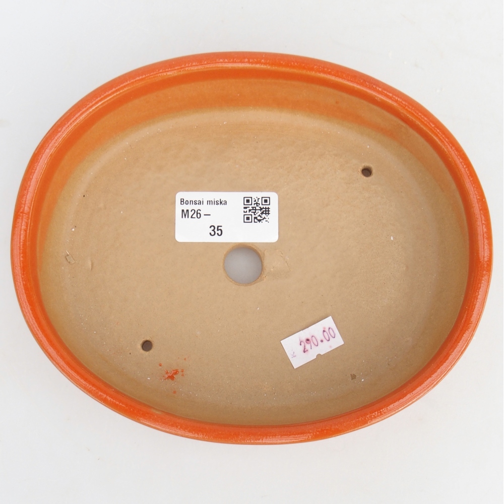 Ciotola bonsai in ceramica 17 x 14 x 4 cm, arancione