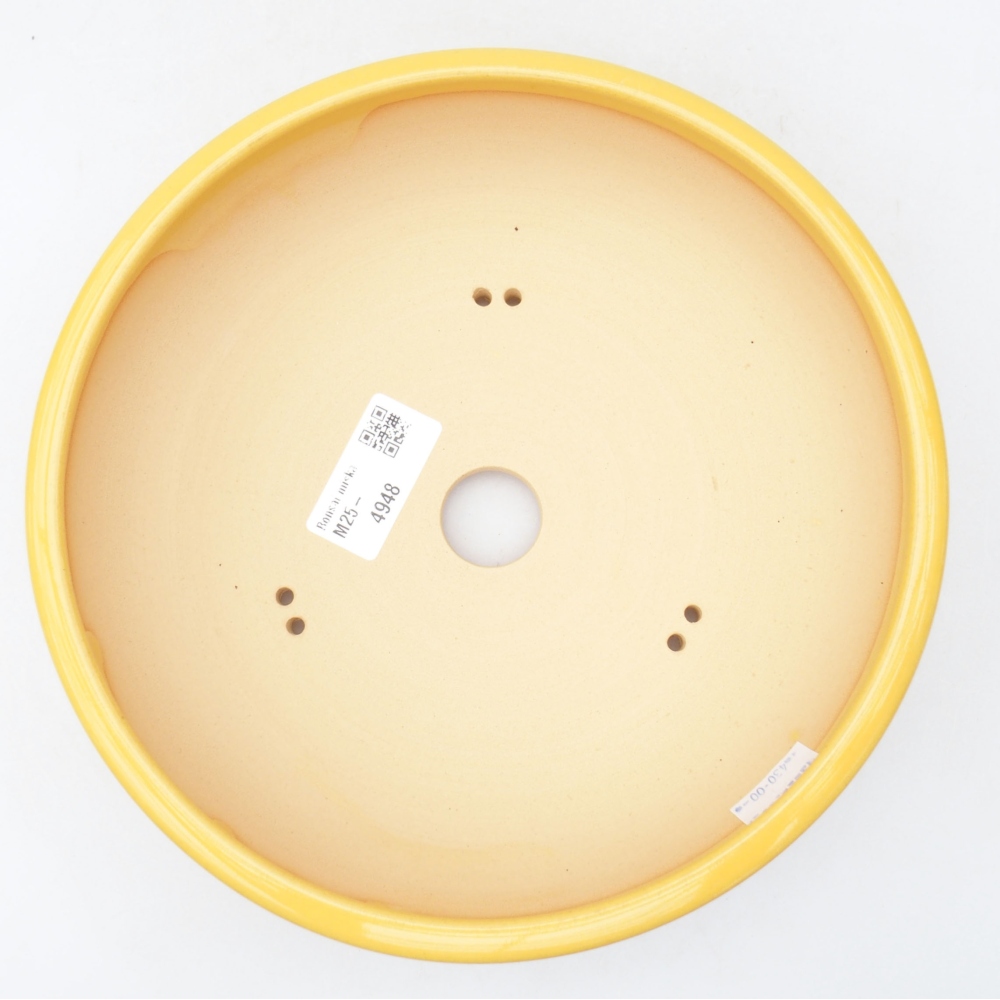 Ciotola per bonsai in ceramica 20,5 x 20,5 x 6 cm, giallo