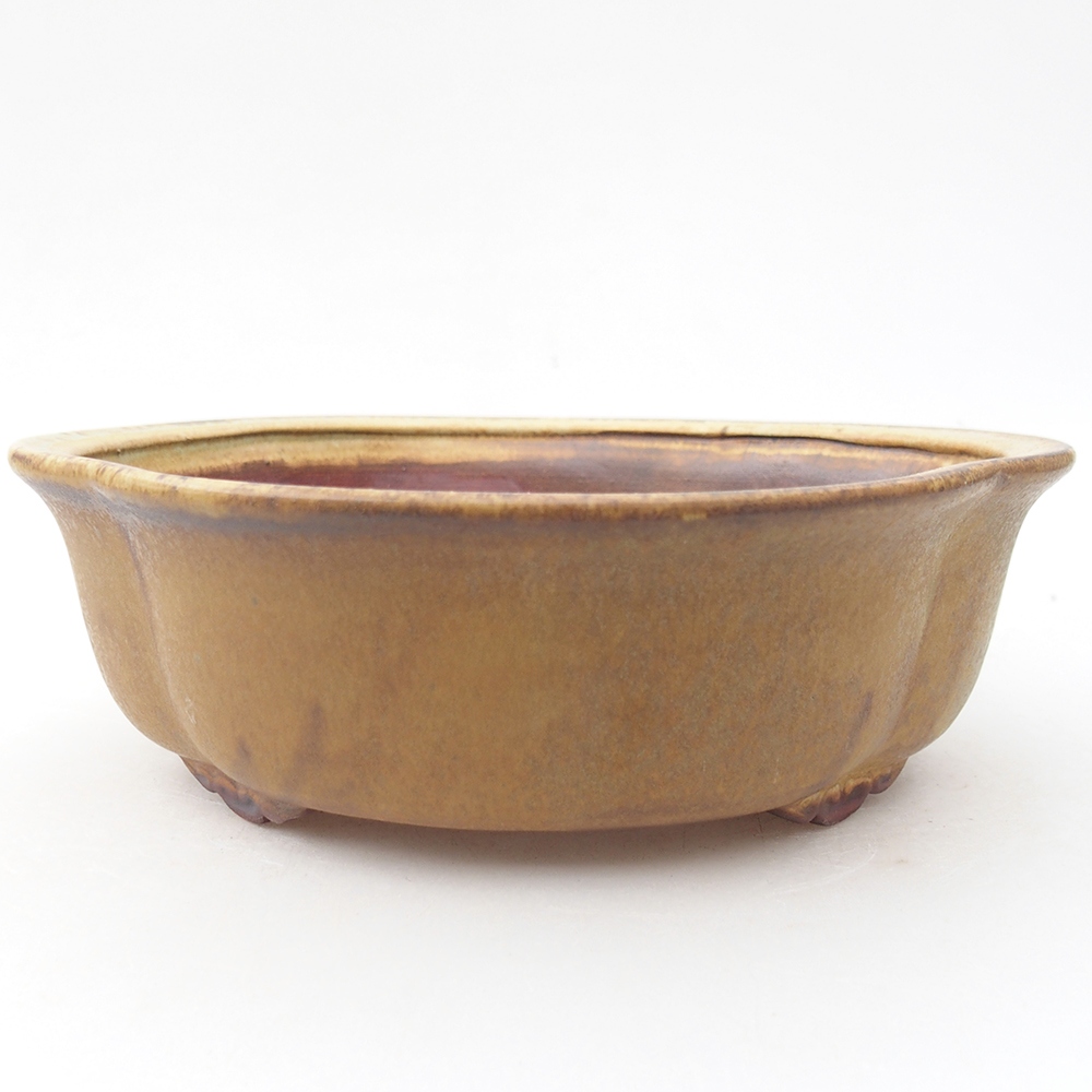 Ciotola bonsai in ceramica 19 x 17 x 6 cm, verde