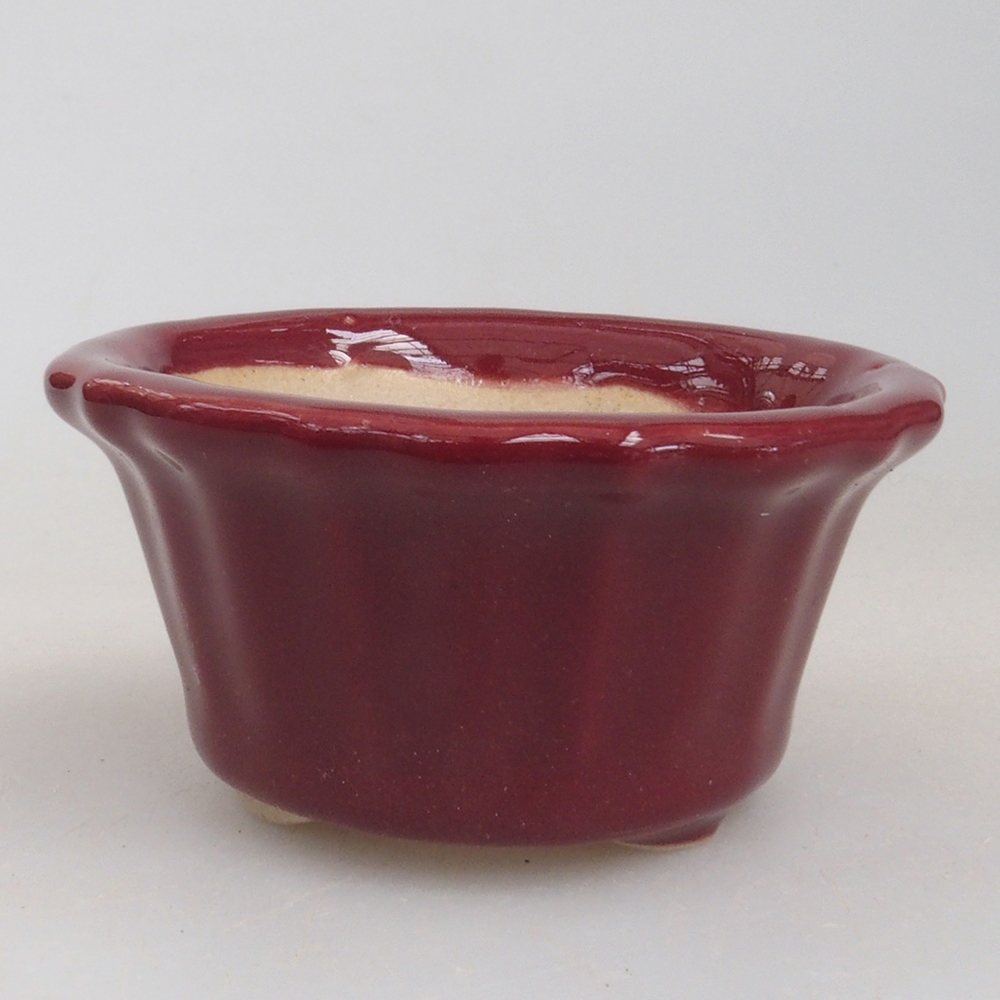 Mini bonsai 5 x 5 x 2,5 cm, colore bordeaux