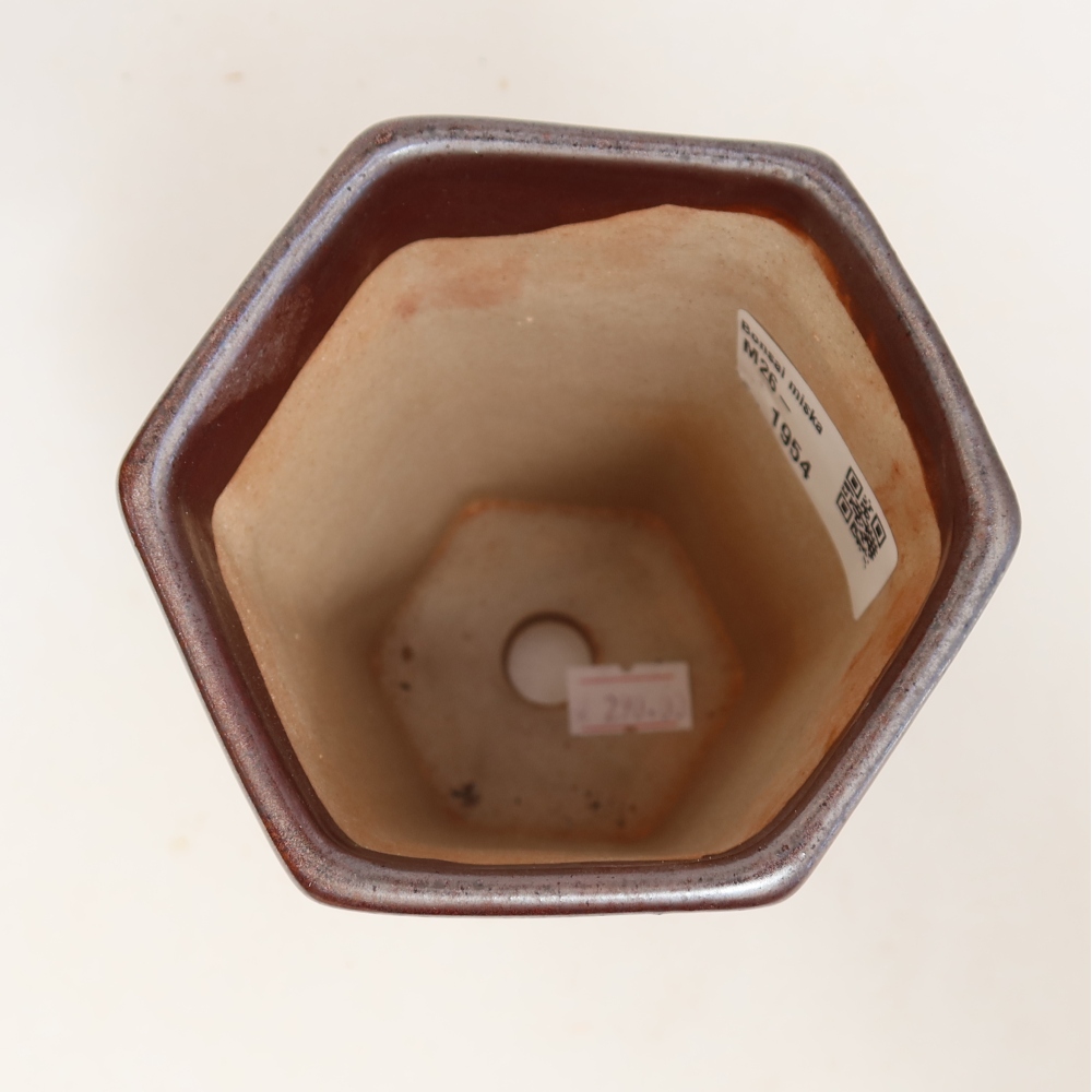 Vaso da bonsai in ceramica 9,5 x 8,5 x 14 cm, colore metallizzato