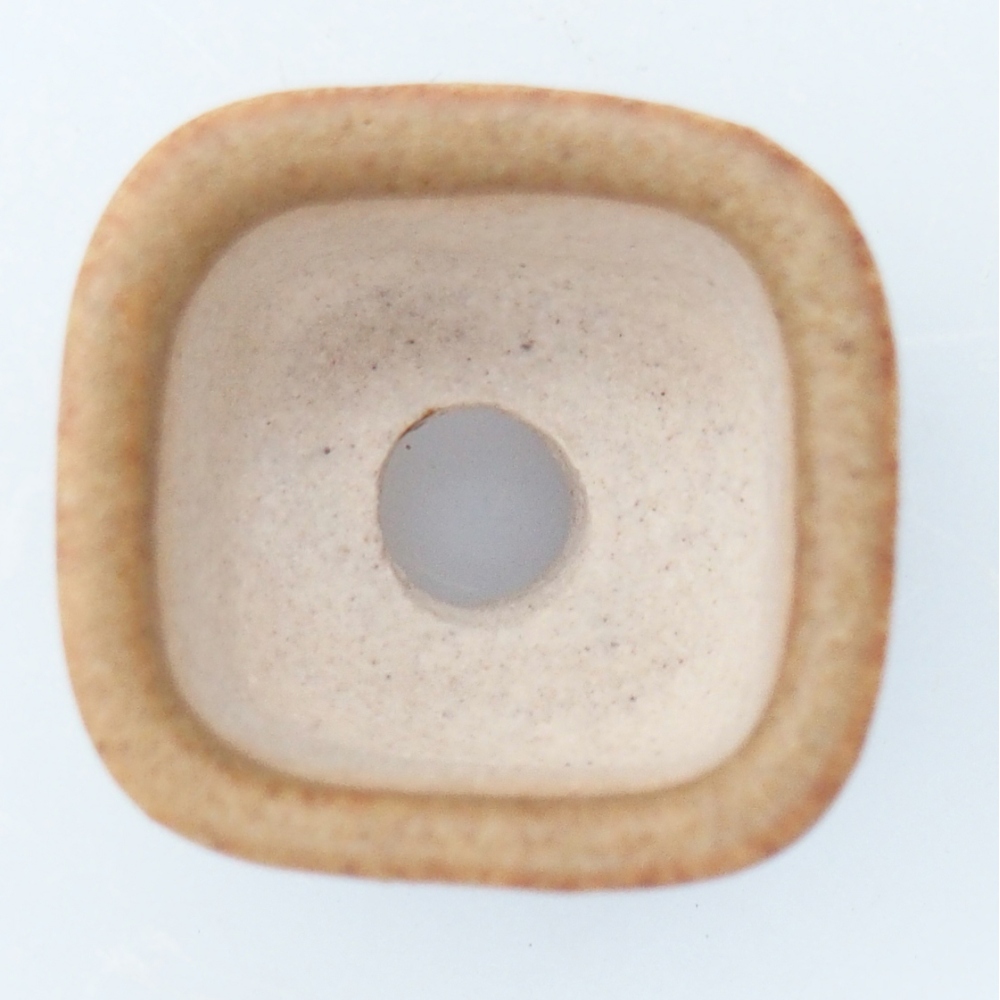 Mini bonsai 2 x 2 x 1,5 cm, marrone