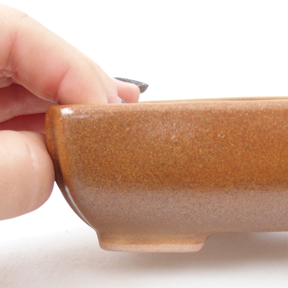 Ciotola bonsai in ceramica 22 x 17 x 5 cm, verde