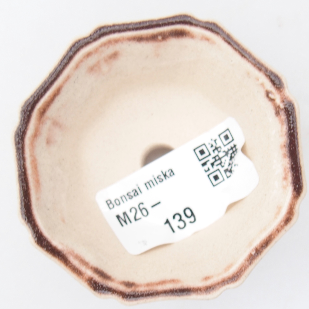 Ciotola per mini bonsai 6 x 6 x 3 cm, rosa