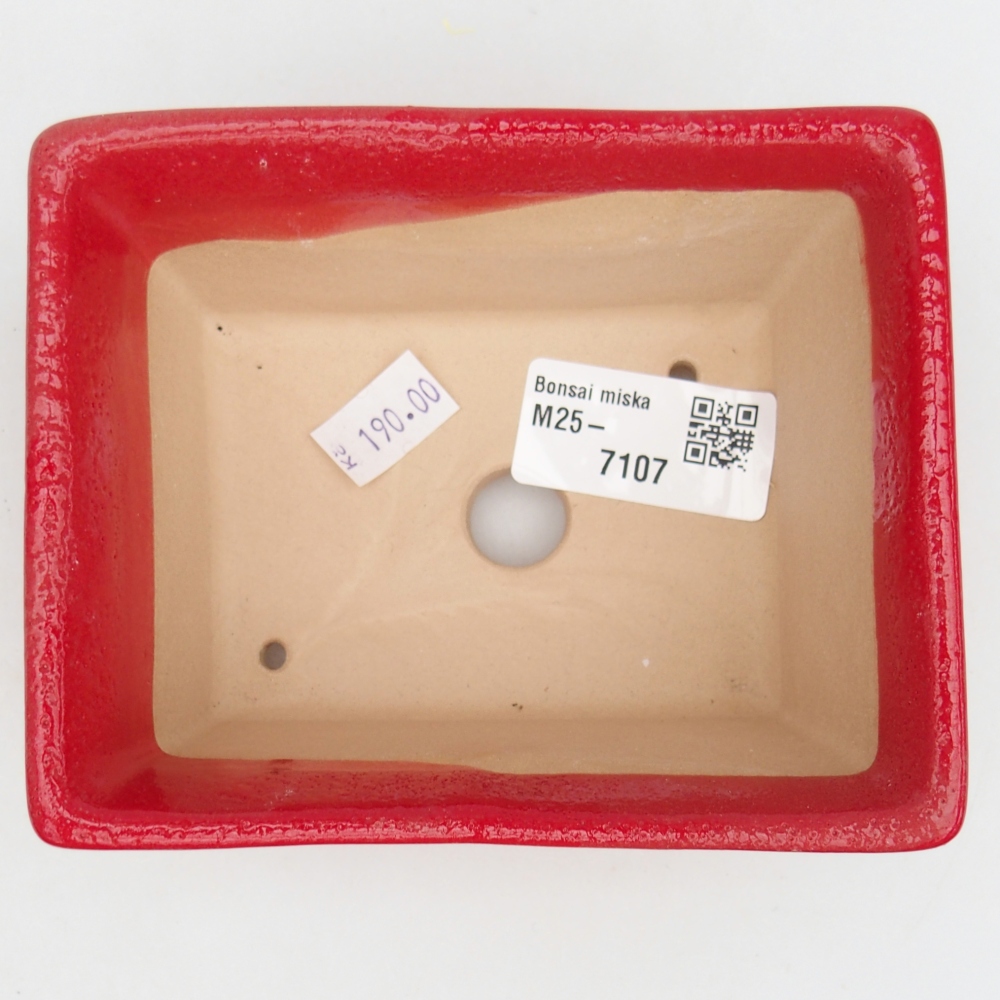 Ciotola bonsai in ceramica 26 x 26 x 8 cm, colore rosso