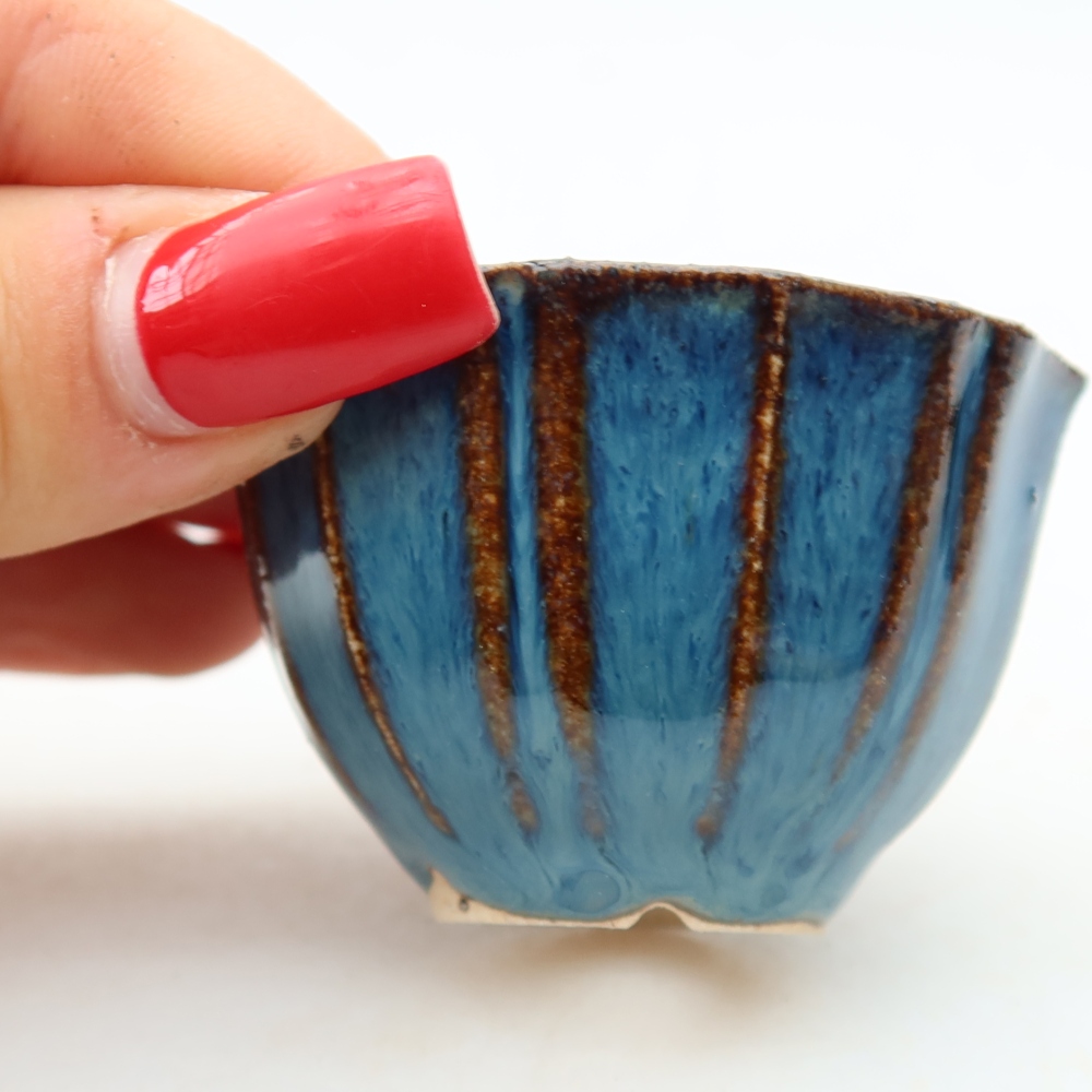 Vaso in ceramica per bonsai 5,5 x 5,5 x 3,5 cm, colore blu