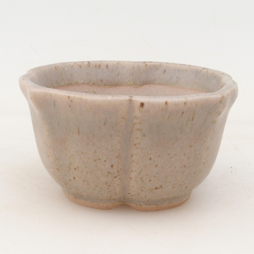 Ciotola bonsai + piattino H95 - beige