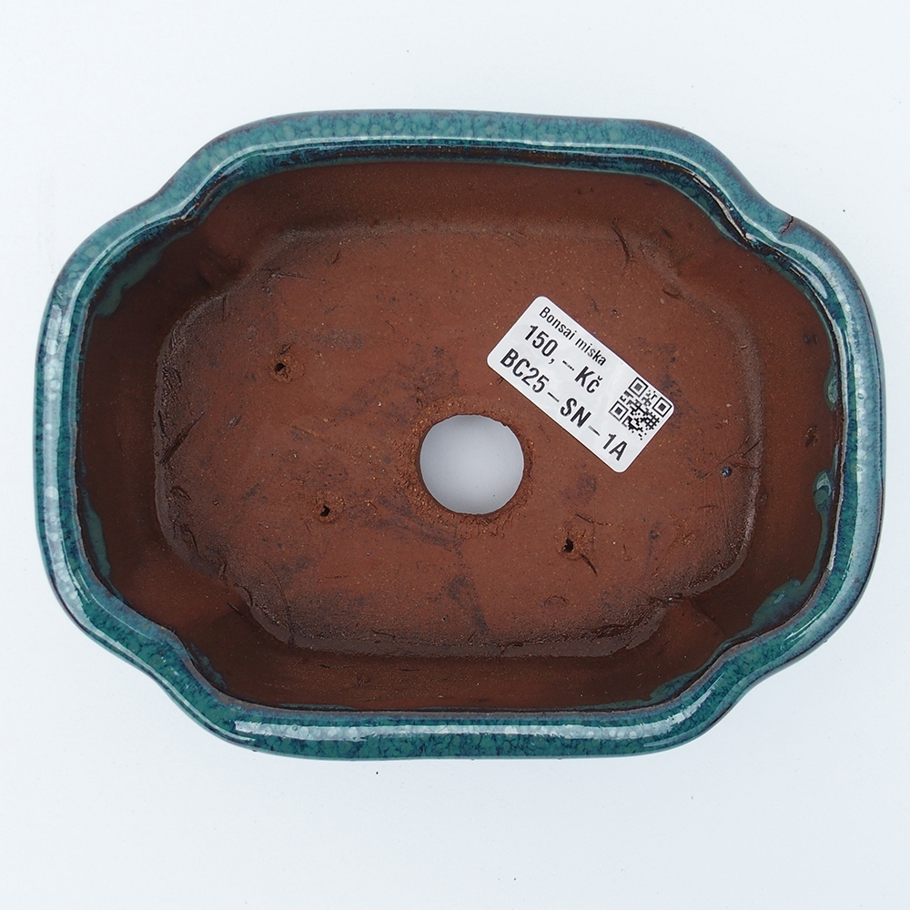 Ciotola 16 x 13 x 5,5 cm verde-blu