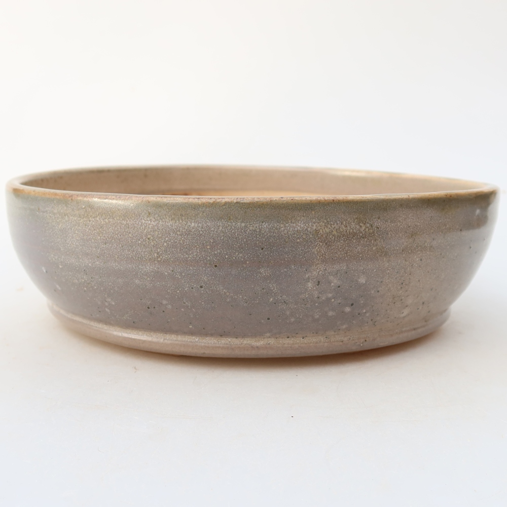 Vaso da bonsai in ceramica 19 x 19 x 5,5 cm, colore beige