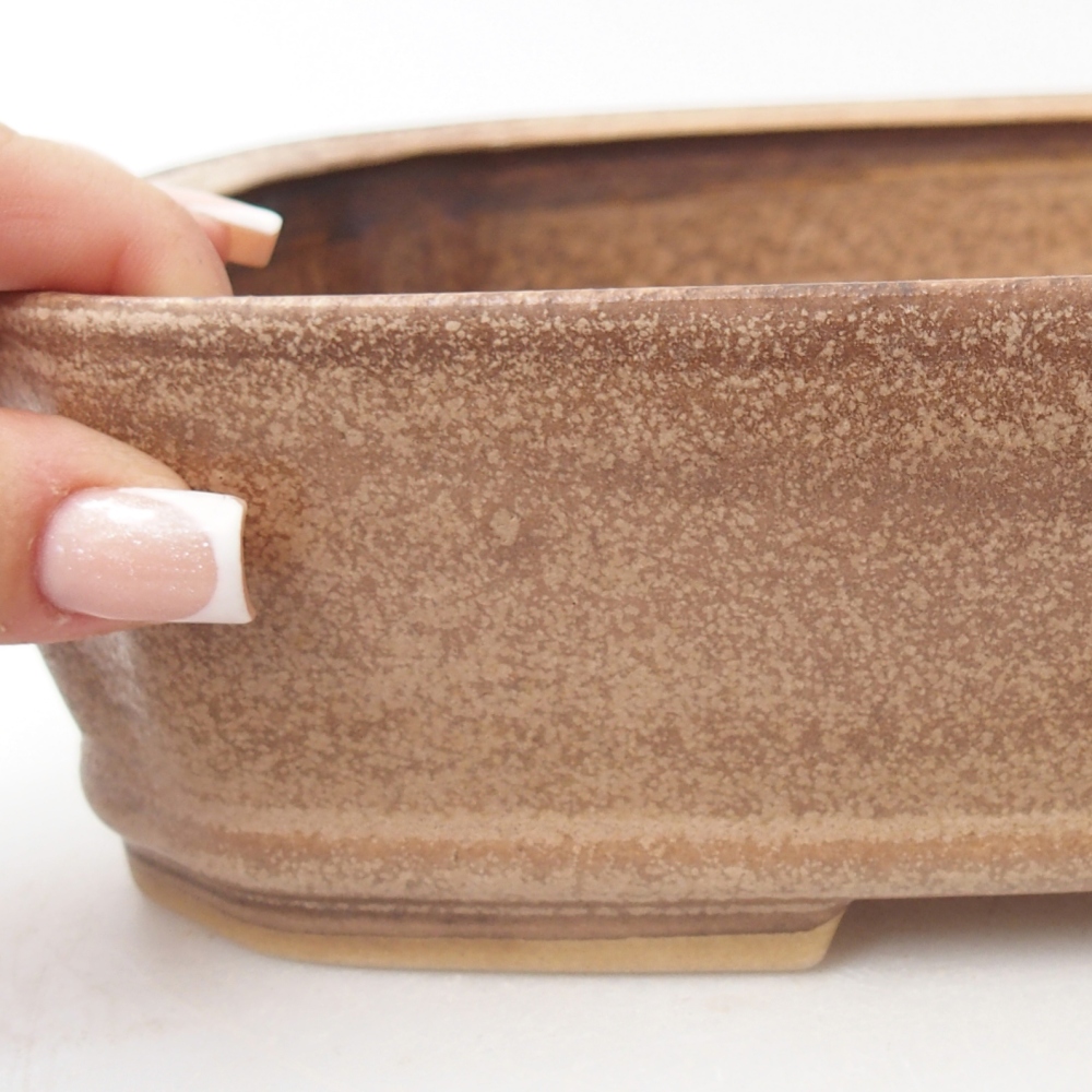Ciotola bonsai in ceramica 24,5 x 21,5 x 6,5 cm, colore beige