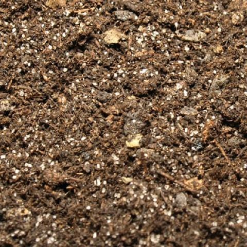 Terriccio per bonsai 70 litri - Solo ritiro personale o trasporto su pallet