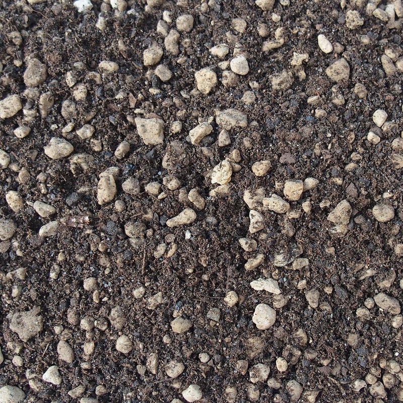 Bonsai Master Bonsai Master 14 litri