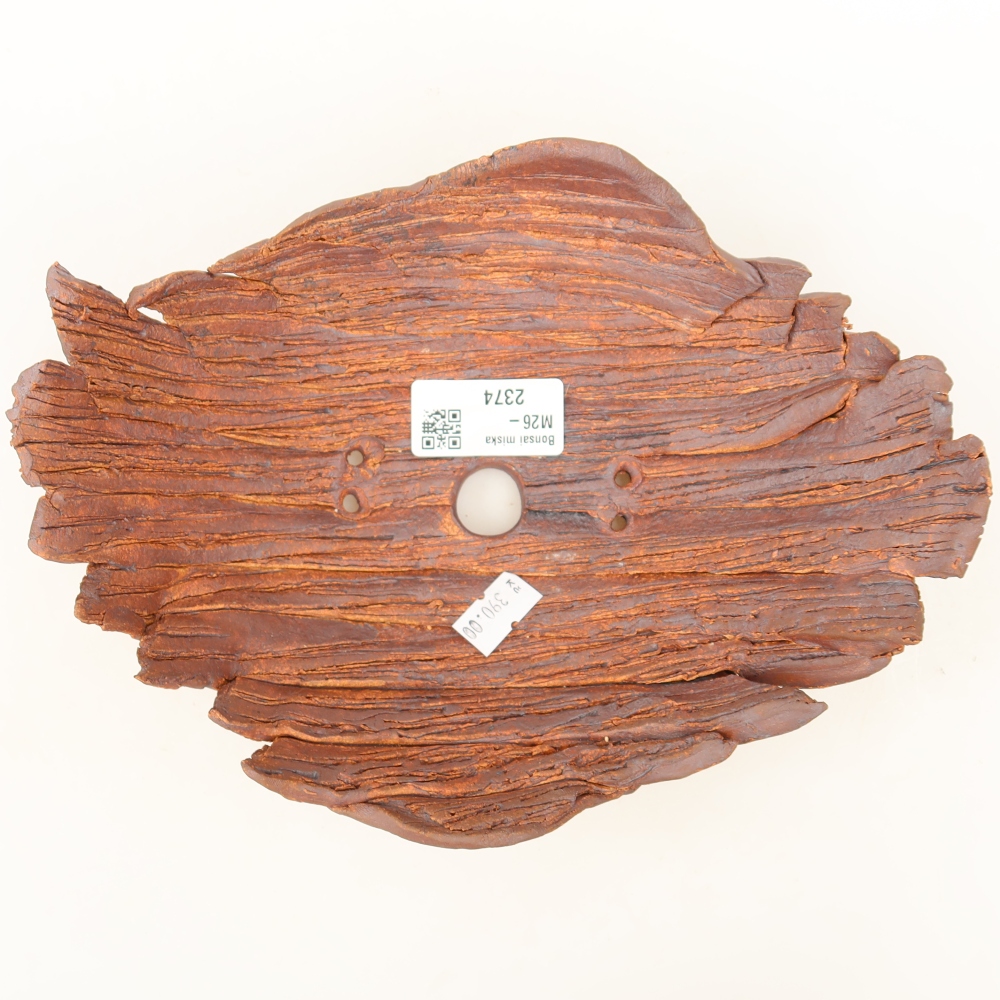 Guscio in ceramica  21,5 x 16,5 x 8 cm, colore marrone