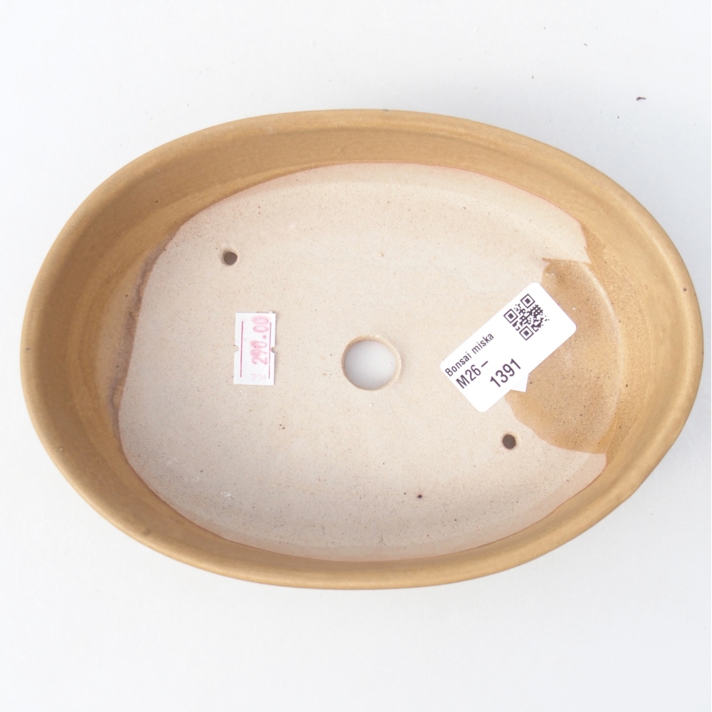 Ciotola bonsai in ceramica 18,5 x 13,5 x 4,5 cm, colore beige
